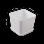 pot fleurs blanc moderne plateau succulentes bonsaï plastique