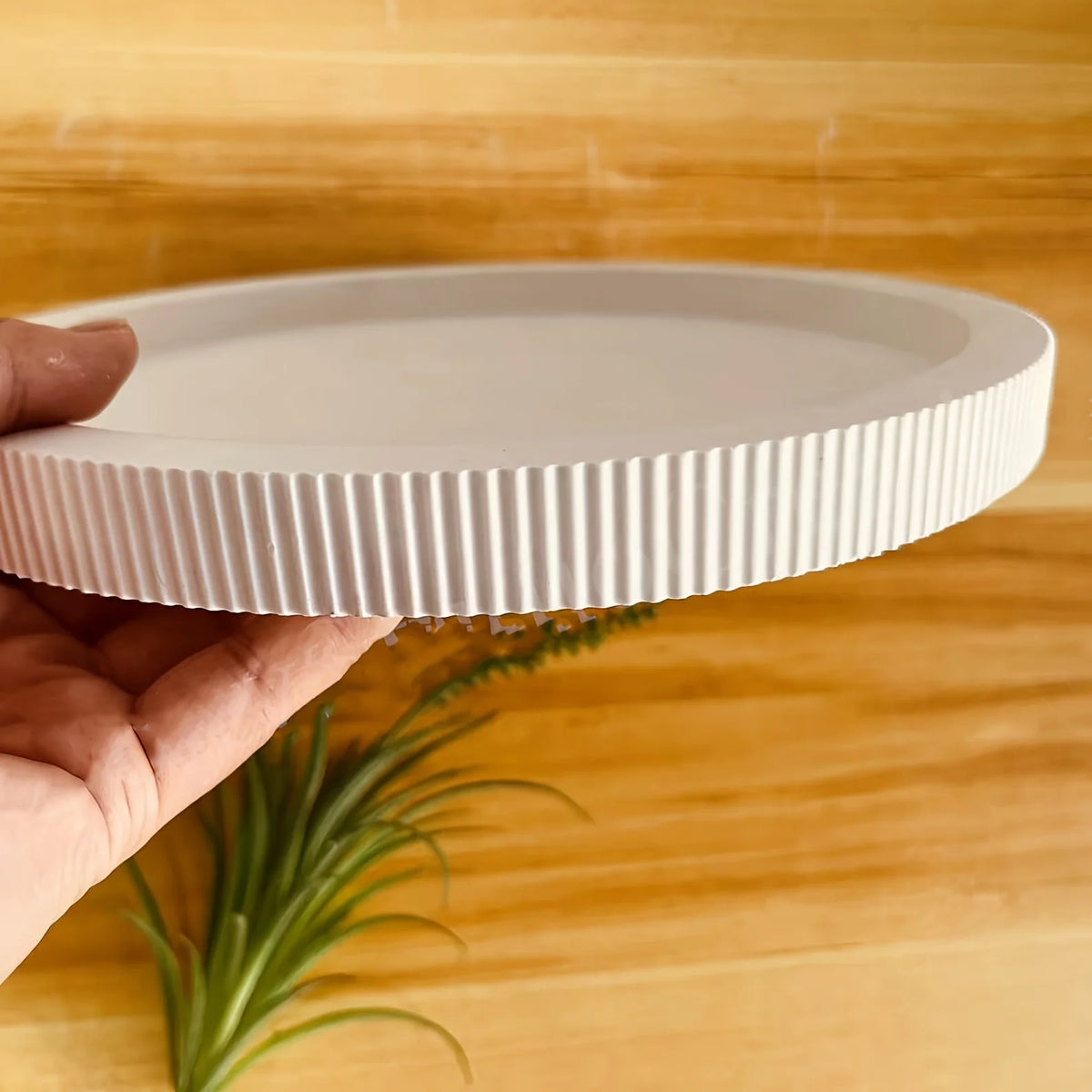 assiettes blanc rayures verticales silicone moderne bord rainures simple deco intérieure