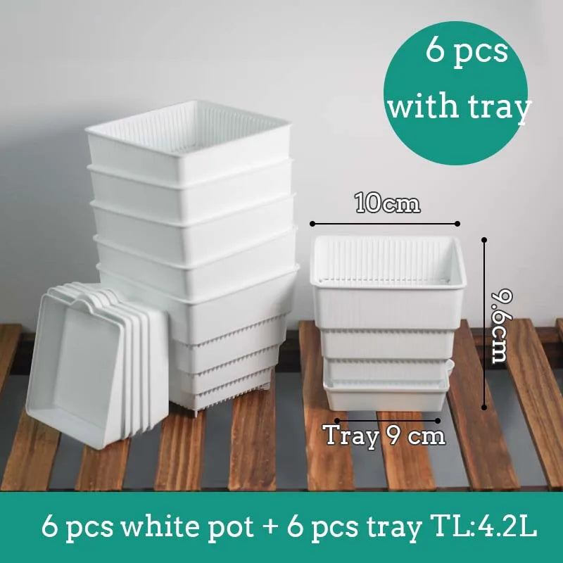 pots plantes plastique moderne blanc cactus succulents lithops drainage decoration maison
