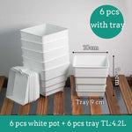 pots plantes plastique moderne blanc cactus succulents lithops drainage decoration maison