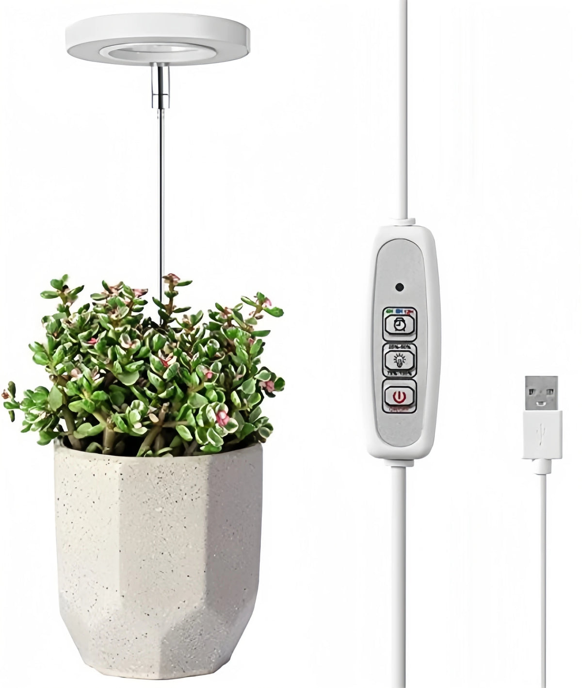 lampe led croissance plante hauteur réglable blanc noir moderne télécommande USB