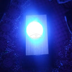 diodes led transparentes bleu vert rouge blanc chaud jaune blanc 8mm modernes 50pcs