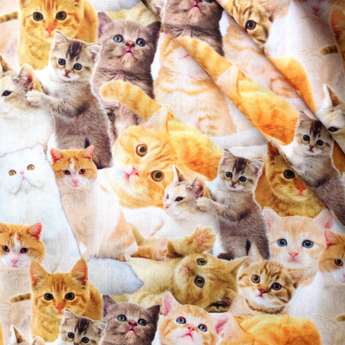 tissu polyester chats motif moderne rose clair bricolage couture quilting artisanal rapide respirant environnement