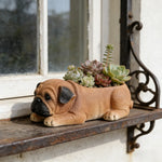 pot fleurs succulentes forme chien mignon décoration maison jardin animalier réaliste pastoralement
