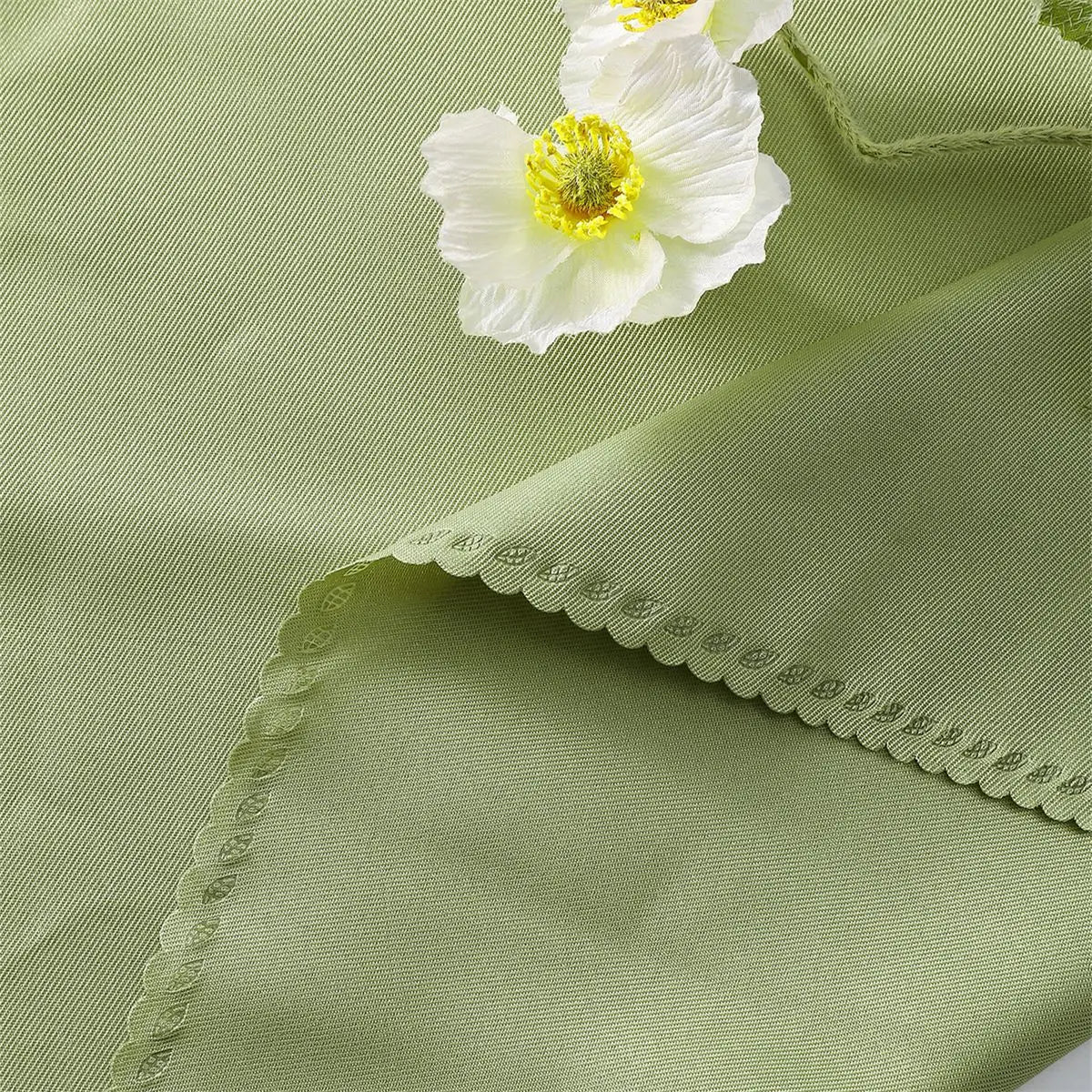 Une fleur blanche et jaune délicate pose sur un fond vert clair.