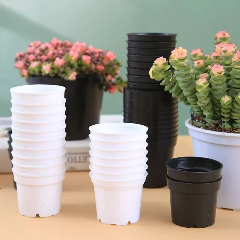 pots semis plastique blanc noir modernes succulentes fleuries jardin drainage minimalistes