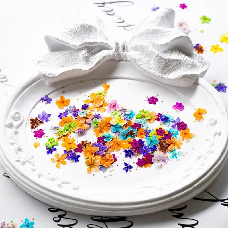 fleurs séchées naturelles bleu vert orange rose violet jaunes fleurs simples décoration diy bijoux