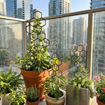 support plante hexagonnel moderne noir doré adhésif jardin intérieur extérieur geometrique