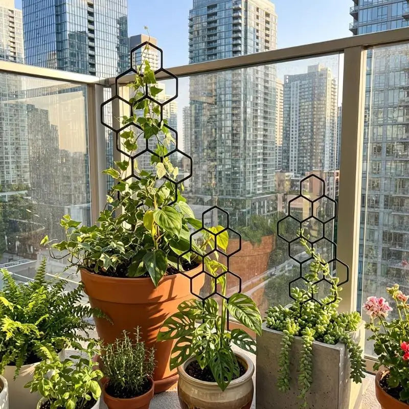 support plante hexagonnel moderne noir doré adhésif jardin intérieur extérieur geometrique