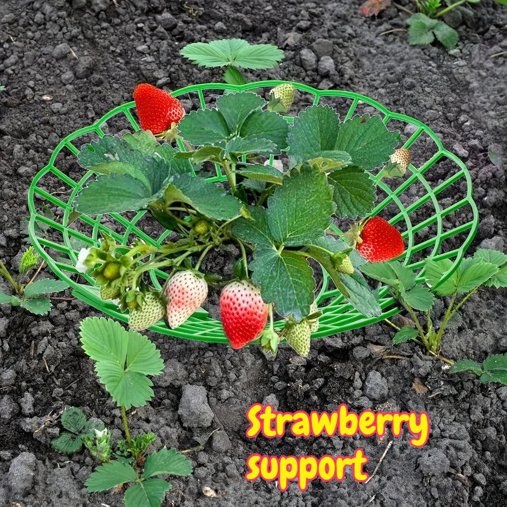 supports plante vert grille plastique anti putréfaction fruits jardinage pots fleurs