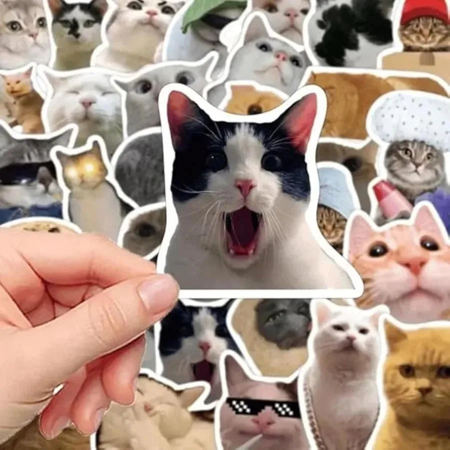 autocollants chats multicolores humoristiques adhésifs 500 pièces stickers mèmes cute