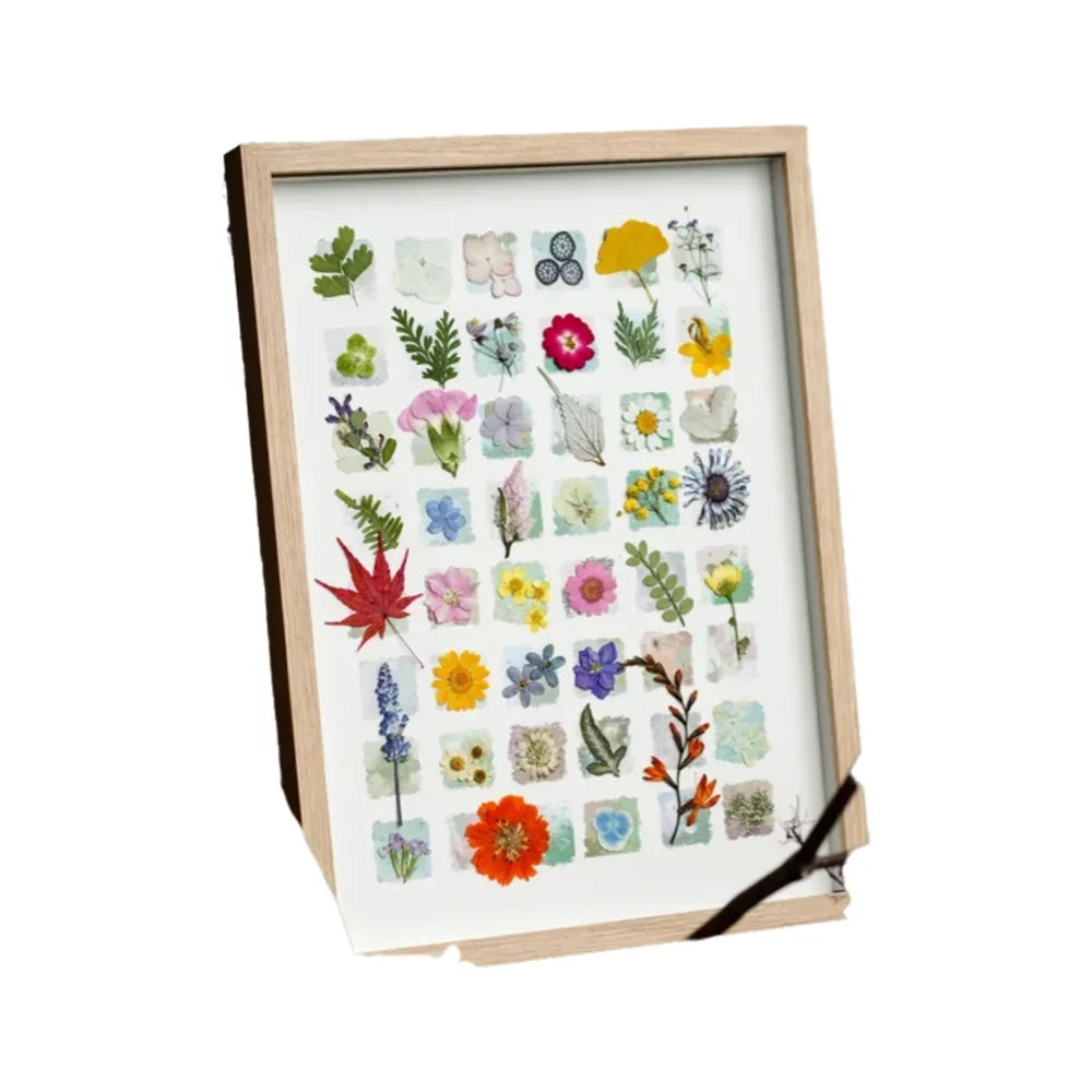 cadre photo plantes séchées fleurs collection moderne minimaliste bois naturel blanc
