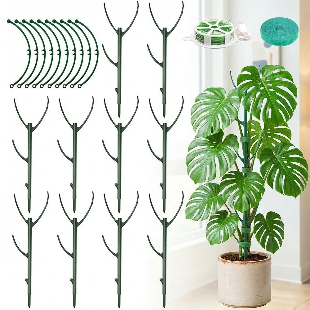 supports plantes grimpantes tuteur végétal vert foncé métallique minimaliste moderne fixations velcro plantes fleurs
