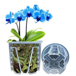 pots orchidées transparents ventilation air circulation 18cm short fat