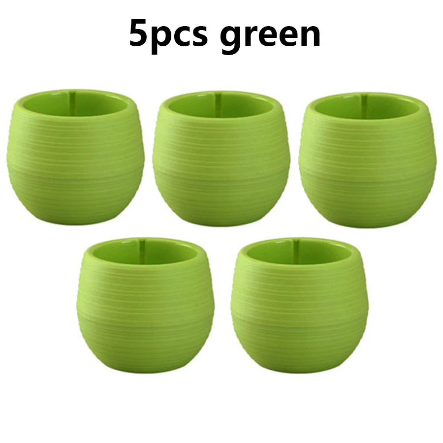 pots fleurs succulentes drainants couleur aléatoire rayures modernes transparents petite plante jardinière echangable