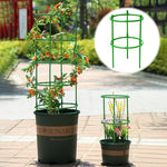 supports plante plastique vert moderne clips orchidées roses 12 sets 18 sets 24 sets