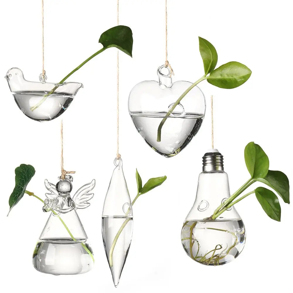 vases suspendus verre transparent motifs oiseaux coeurs plantes vertes minimaliste terrarium hydroponie