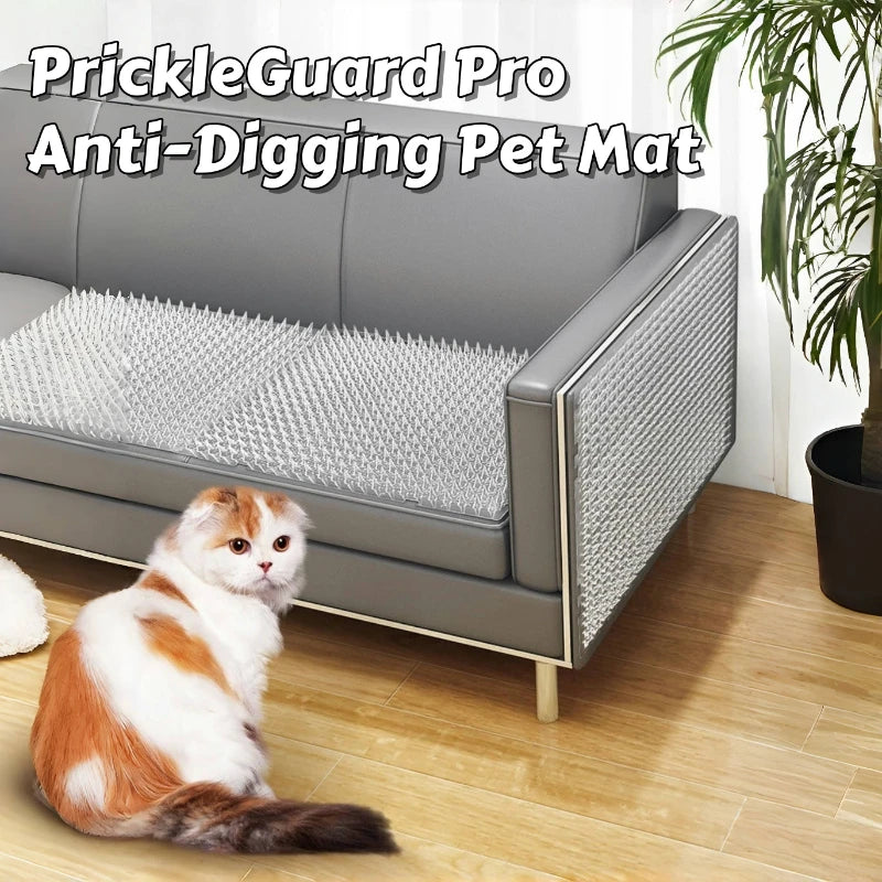 tapis anti griffes chat protection picots transparent utilitaire fonctionnel fixations œilletsintérieur maison