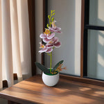 Décoration intérieure orchidée artificielle pot blanc violette bleue blanche minimaliste moderne