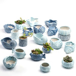 petit cache pot ceramique bleu motif poisson marin decoratif plante succulente maison
