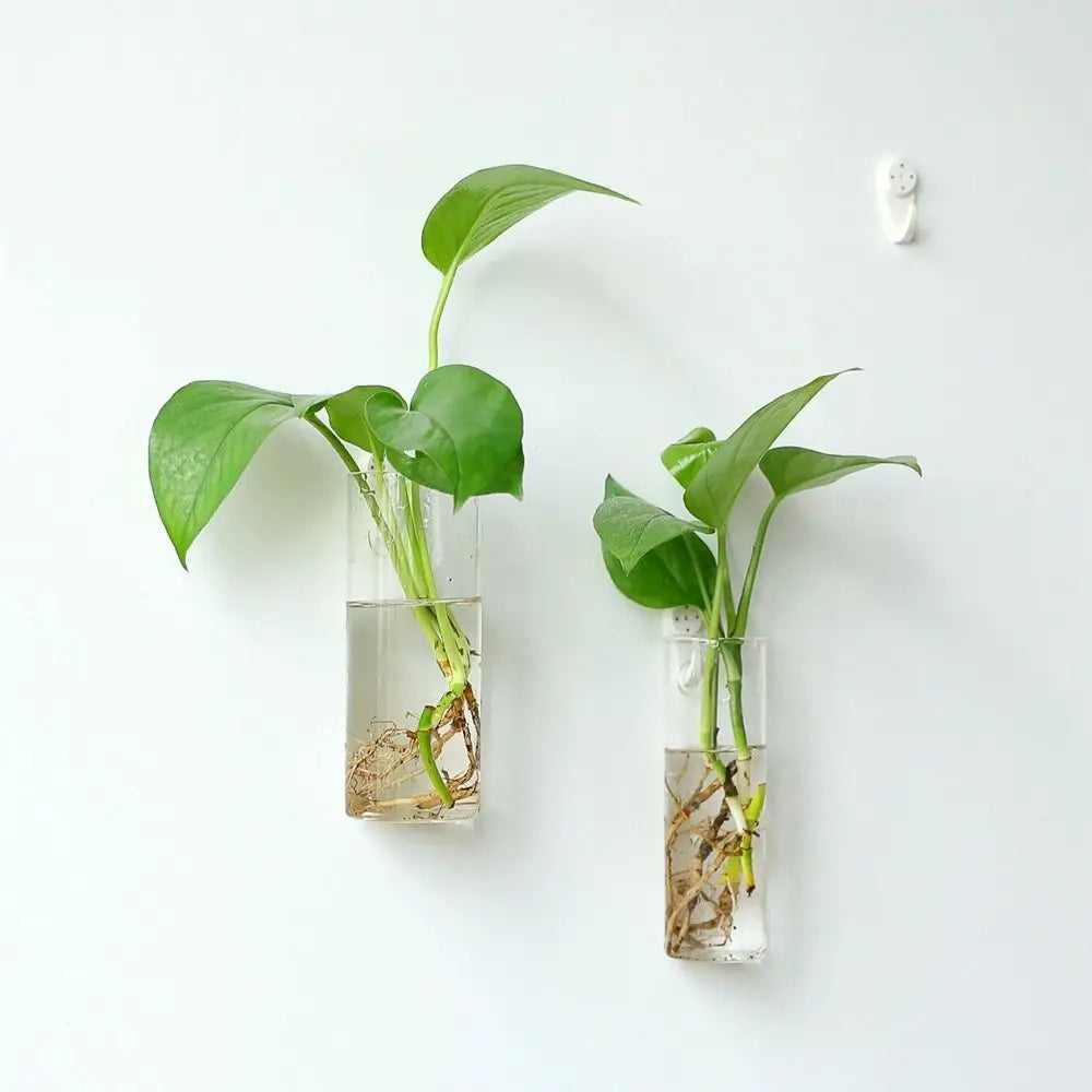 vases suspendus verre moderne transparent hexagonaux coniques plantes aquariatsintérieur minimaliste