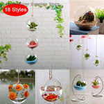 terrarium suspendu verre transparent plante mousse fleur moderne minimaliste