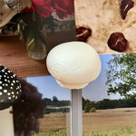 aimants réfrigérateur forme champignon couleur rouge noir blanc marron clair texture naturelle réaliste opaques