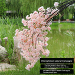 décoration intérieure fleurs artificielles branche cerises soie rose clair vert modernes