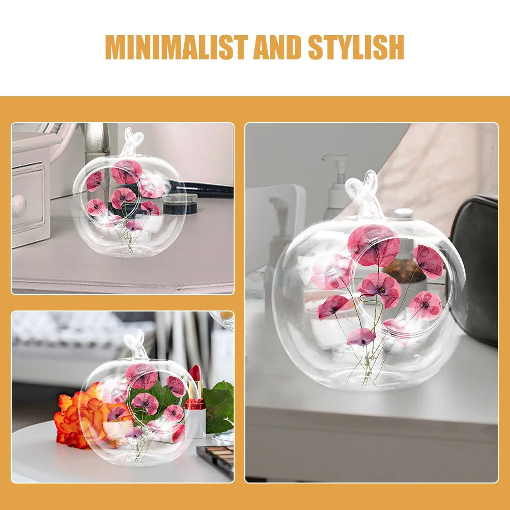 vases verre transparent minimaux décoratifs terrariums plantes pots fleurs séchées