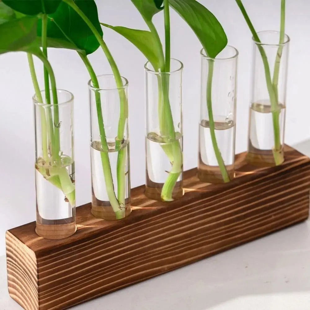 support plante bois transparent verre tubes test minimaliste deco moderne