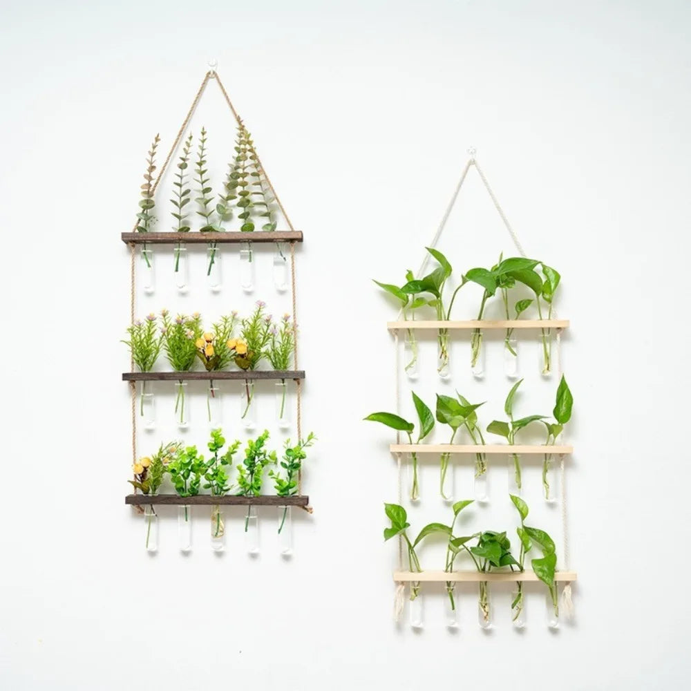 support mural plantes verre transparent bois naturel minimaliste rustique corde nouée tube hydroponiqueintérieur decoration
