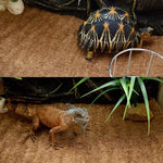 tapis coco naturel tapisserie fibre lézard tortue gecko terrarium décoration animal brun clair rustic