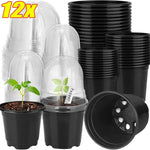 pots semis transparents modernes noir 3.5 inch 12pc jardinage fleurs plantation