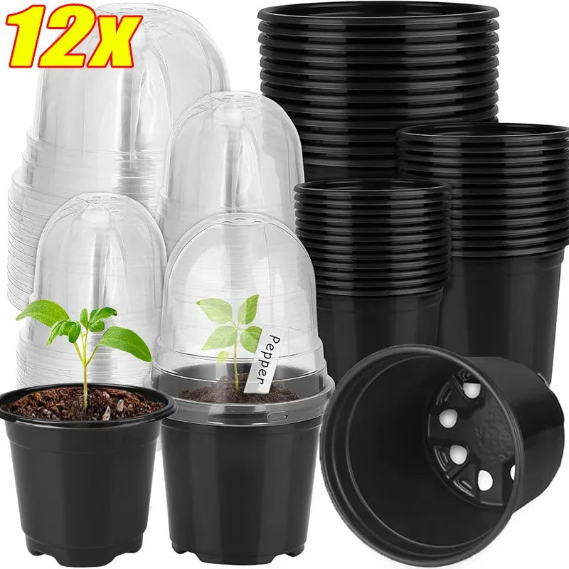pots semis transparents modernes noir 3.5 inch 12pc jardinage fleurs plantation