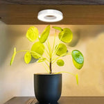 lampe led plante hauteur réglable lumière blanche circulaire moderne câble usb interrupteur