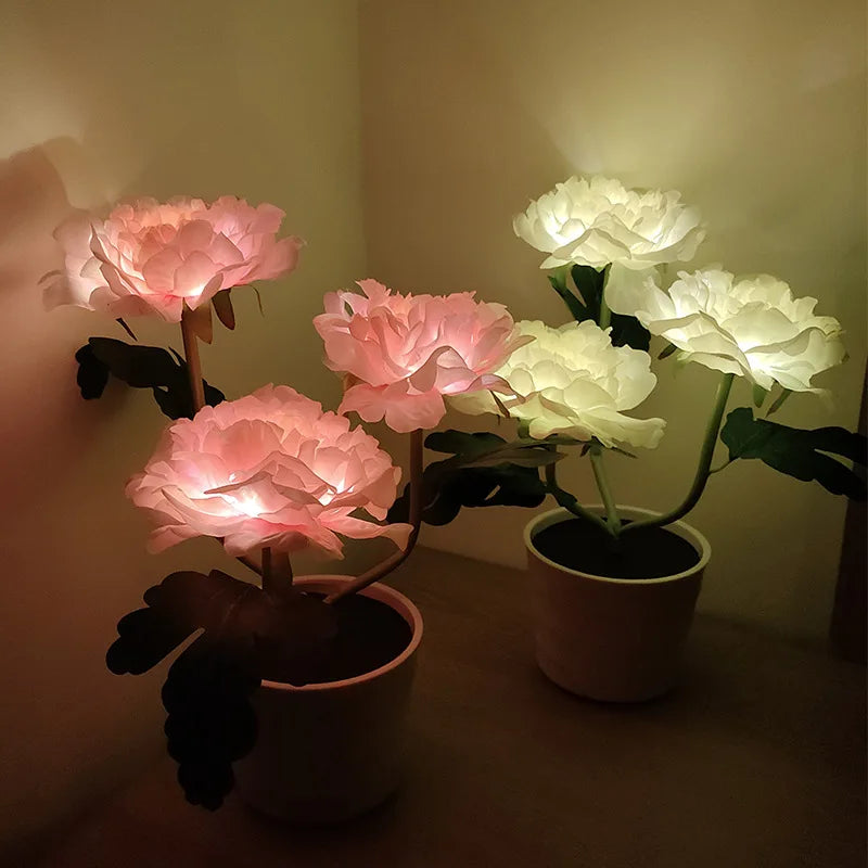 lumière solaire forme rose blanche rouge jaune feuillage vert extérieure moderne