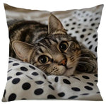 housse coussin polyester chat imprimé gris orange moderne salon chambre lit 45cm 45cm