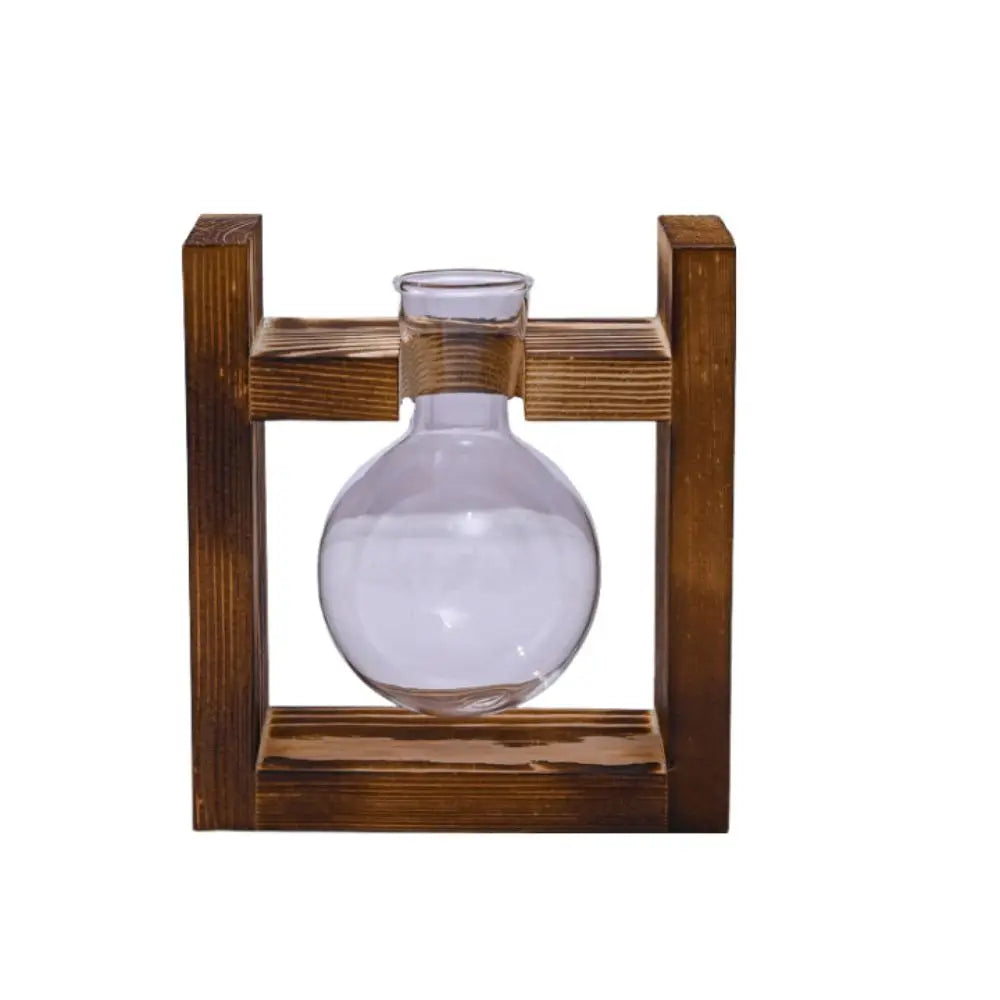 vases transparents modernes verre rond geometrique decoration plante verte