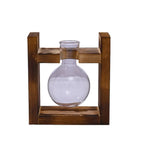 vases transparents modernes verre rond geometrique decoration plante verte