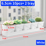 petit pot fleurs blanc plastique moderne cactus succulentes plateau intégré