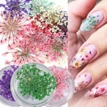 décorations nail art fleurs séchées violet rose vert rouge orange blanc naturel strass ongles