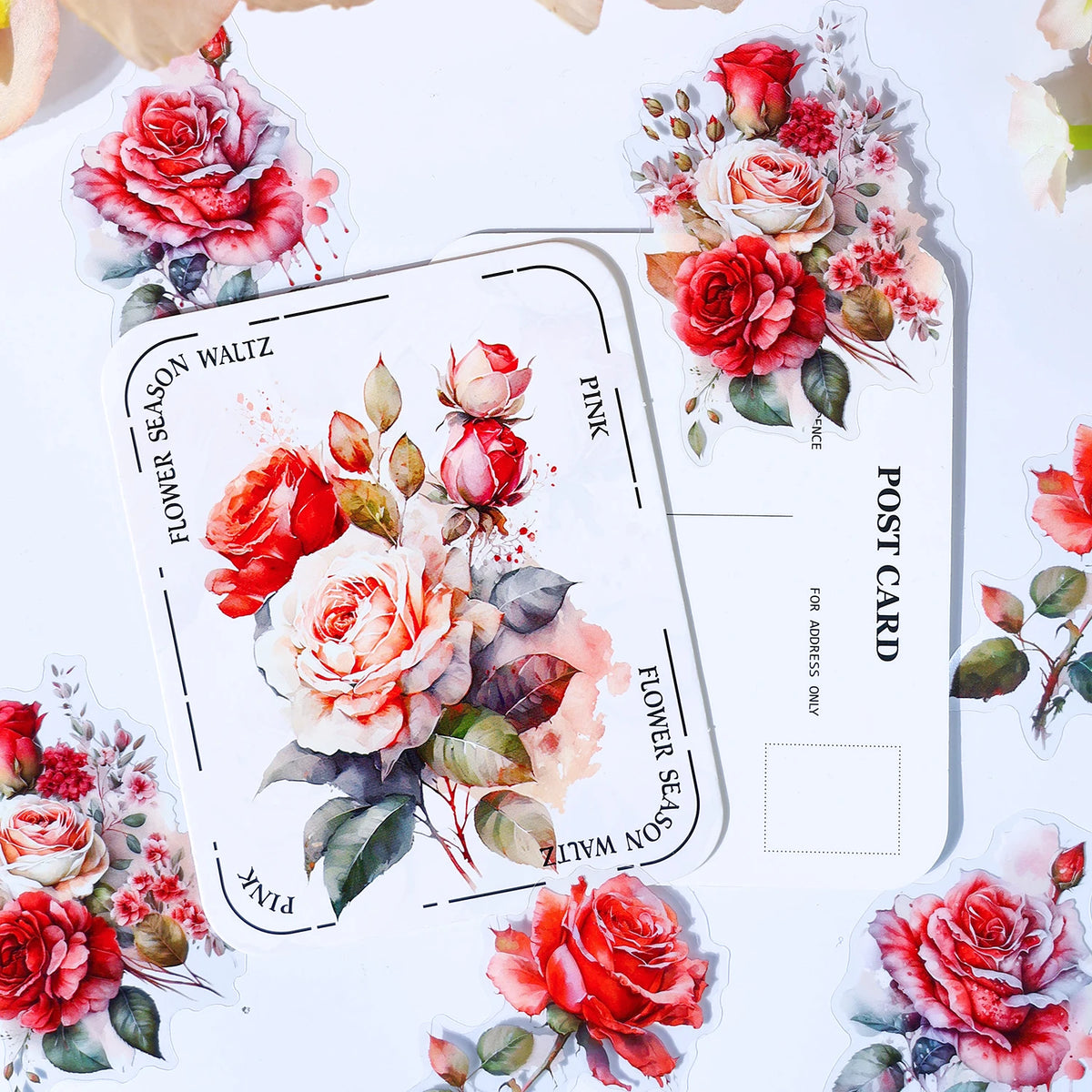 stickers décoratifs floraux roses fleurs sauvages eucalyptus illustration art floral vintage bleu blanc vert