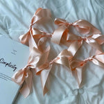 guirlande rubans satinés crème rose pâle noir bleu clair motifs floraux décoration élégante occasion
