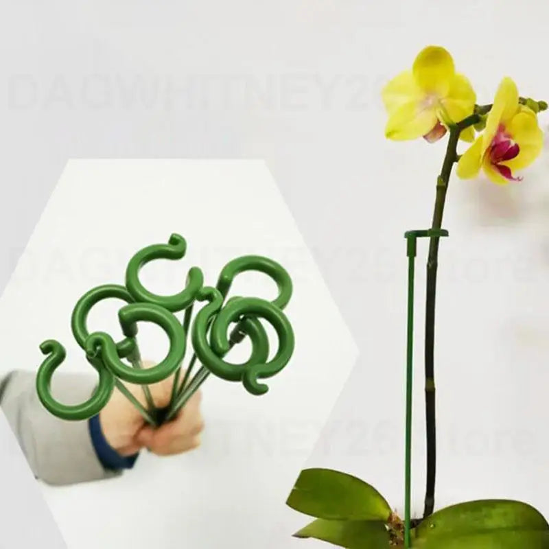 supports plantes tiges vertes modernes 17cm 27cm 37cm 48cm eyelets plastique minimalistes