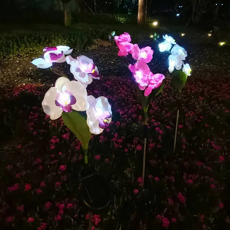 fleurs artificielles orchidées blanc rose bleu moderne décoratifextérieur tringle métallique socle noir