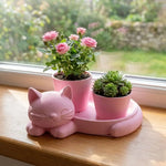 pots plantes support chatons couleur rose blanc moderne chambre