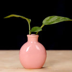 vases table bleu clair blanc vert pastel rose poterie minimaliste