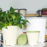 Pots fleurs modernes plastique vert couvercle motif branches blanc minimalistes