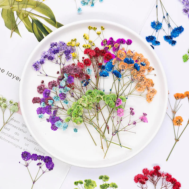 bouquet fleurs séchées naturelles variées bleu vert violet rouge jaunes ornement intérieur décoration artisanale
