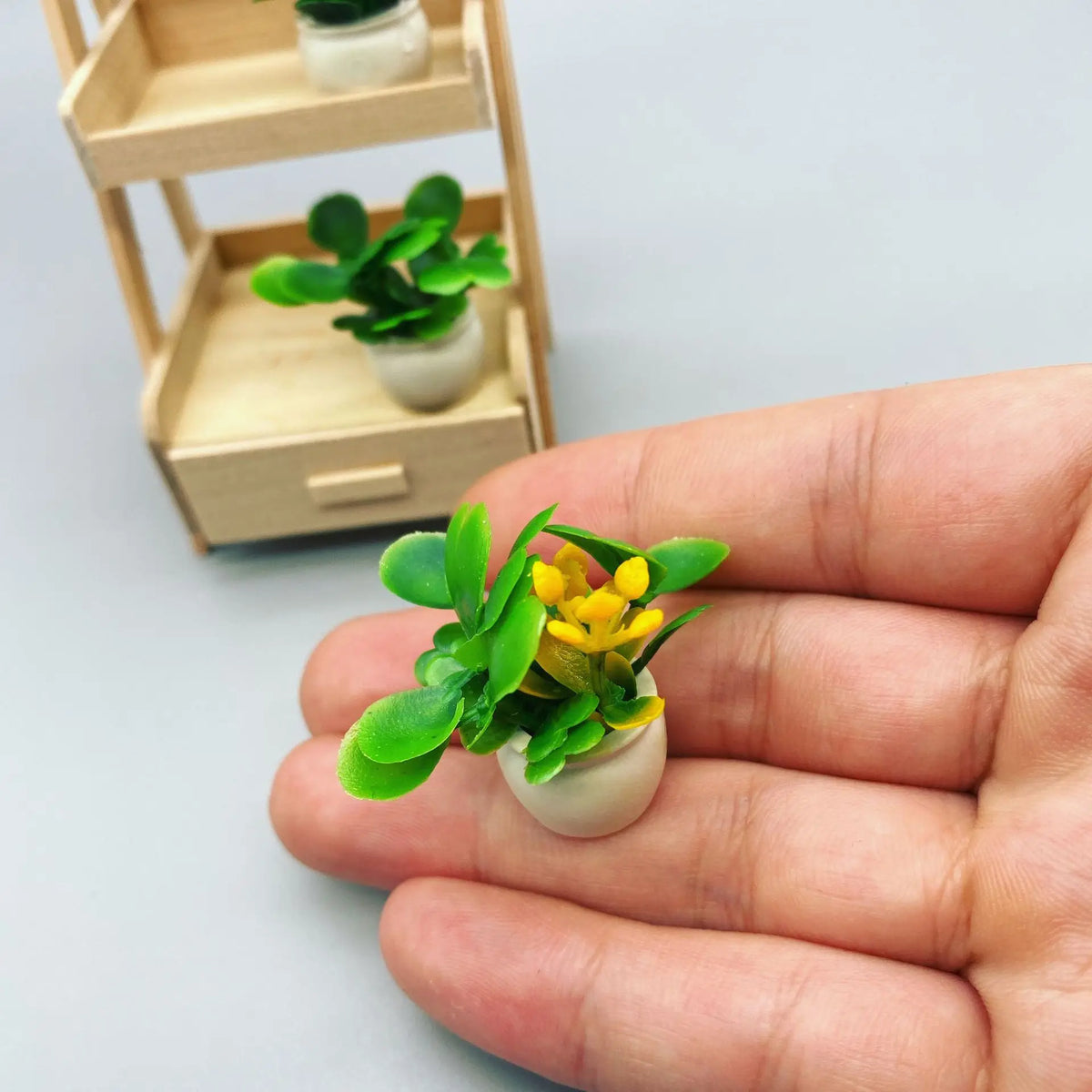 étagère plante moderne mini pots bois blanc succulentes ornement verdureintérieur